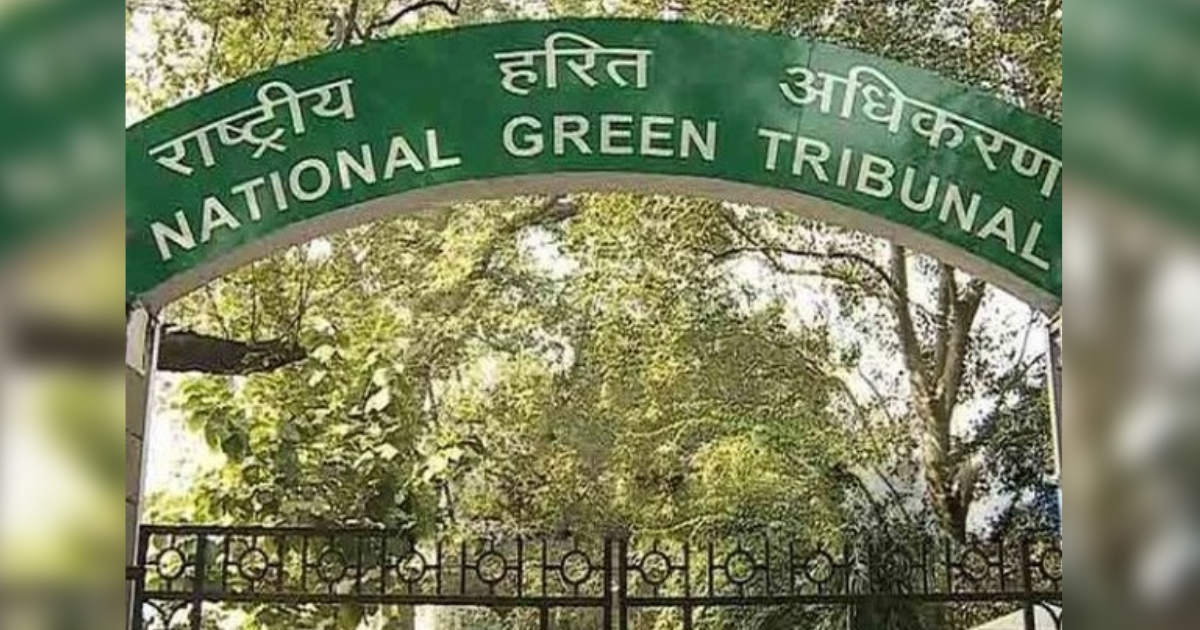 NGT directs authorities to shut down illegal establishments in Rajaji National Park